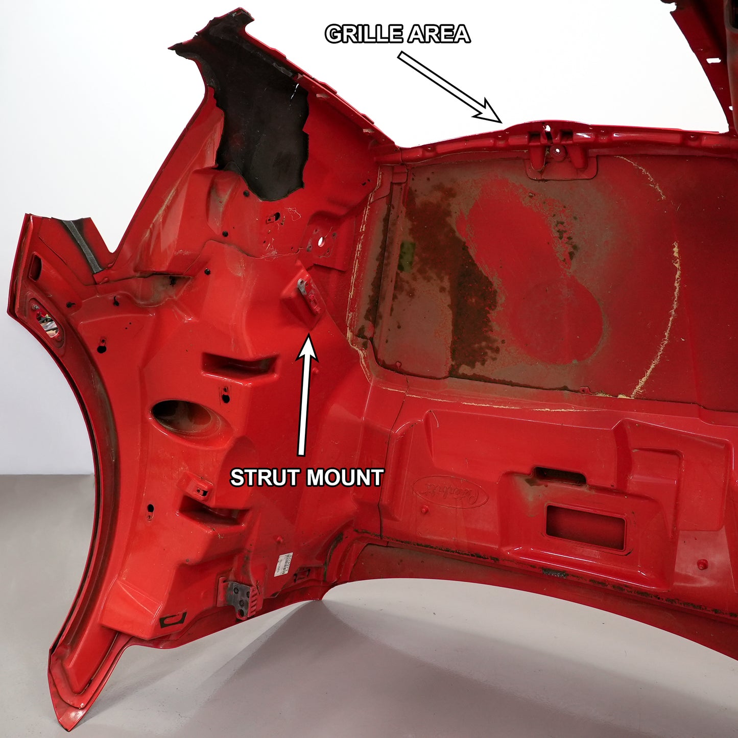 Side view of the hood with the grille area and strut mount labeled