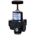 Precision Air Regulator, 0-10 psi